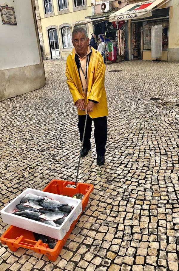 Catch of the day in Cascais, Portugal. thumbnail