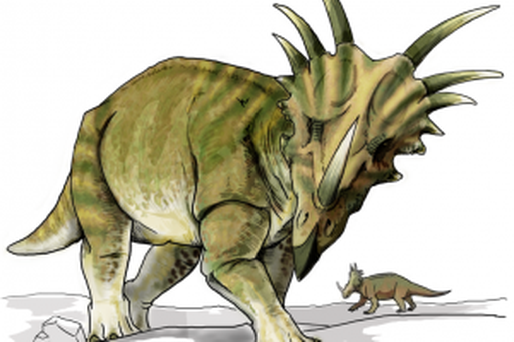 20110520083228Styracosaurus-restoration-300x240.jpg