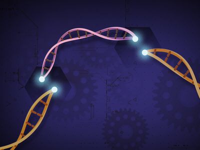 CRISPR-Cas9 is a gene editing tool that has allowed scientists to alter the genomes of living organisms with unprecedented accuracy and ease. 