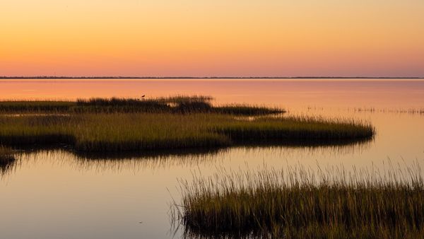 Sunset: Florida Wetlands thumbnail