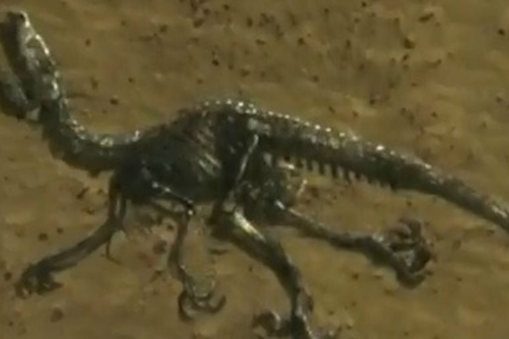 20120323083015dinosaur-clip-thumb.jpg