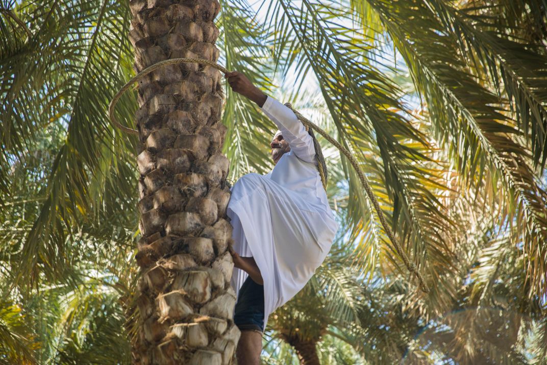 Why the UAE Should Be Your Next Ecotourism Destination