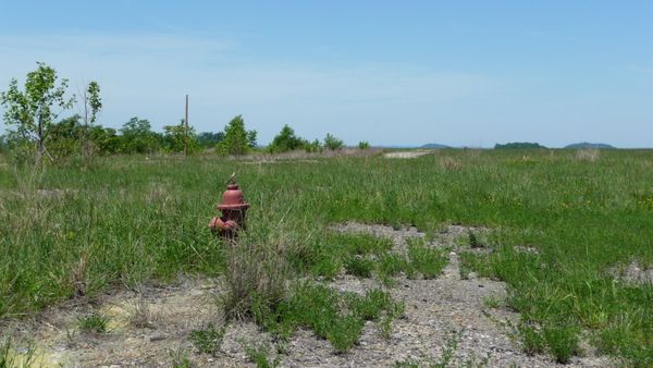 Fire hydrant in abandoned field thumbnail