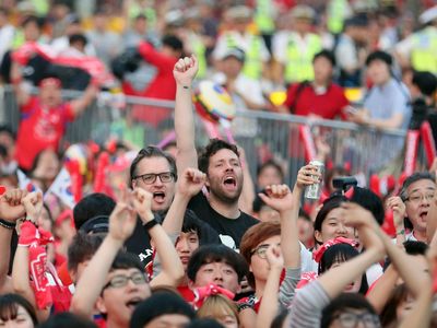 Fans cheer for Team Korea at the 2014 FIFA World Cup in Brazil.