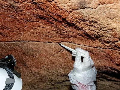 In a Scientific First, Researchers Recovered Ancient DNA That Humans Left Behind on Rock Art and Cave Walls image