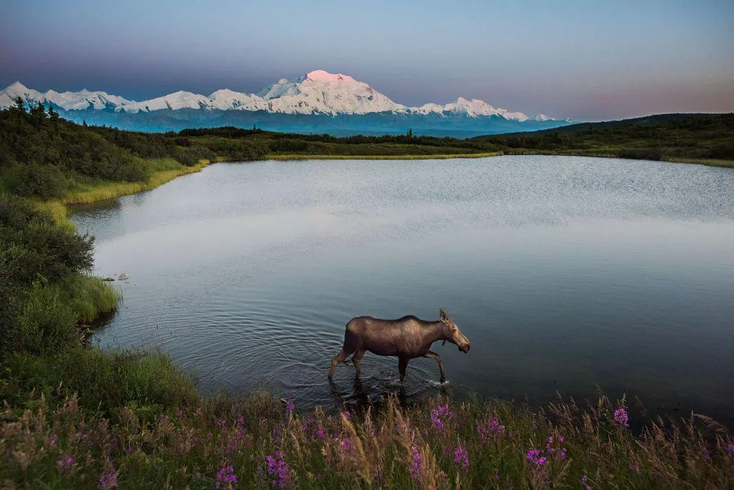 Seven Natural Phenomena Worth Traveling to Alaska For