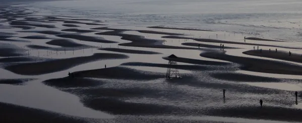 Whispers of the Tide thumbnail