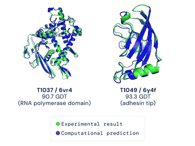AlphaFold's protein structure in blue is shown overlaid with the lab results in green for two kinds of proteins. 