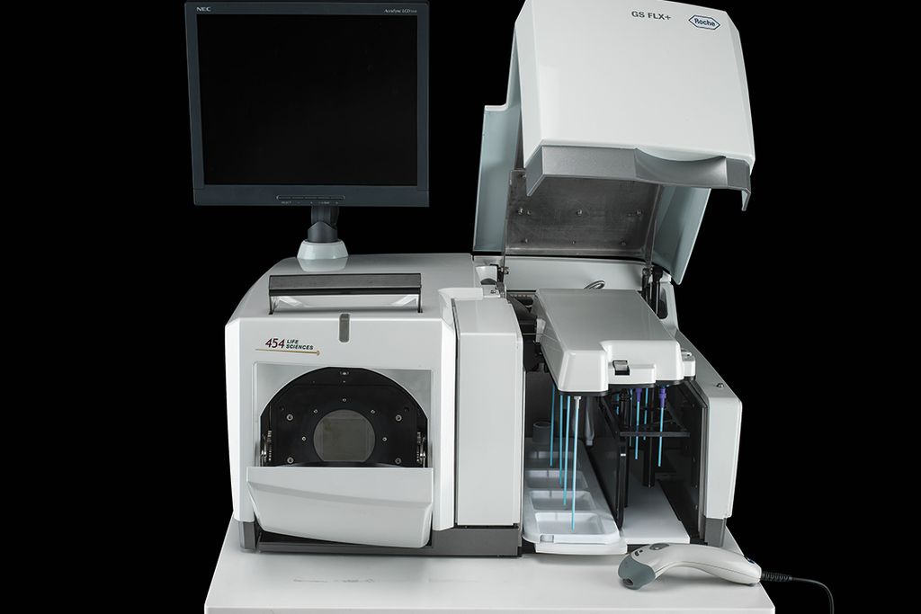Roche 454