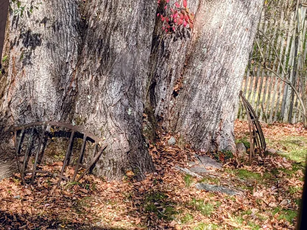 Autumn in Amber, Rose and Rust thumbnail