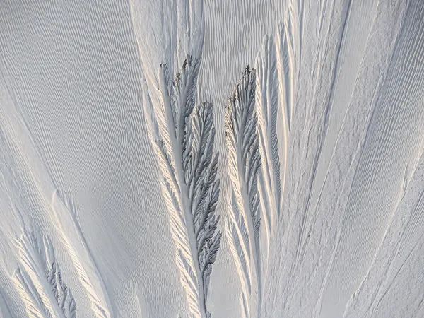 Socotra’s art: erosion and wind created a “forest of trees” on the slopes of Archer sand dunes. thumbnail