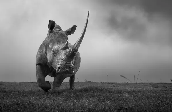 Power and Presence thumbnail