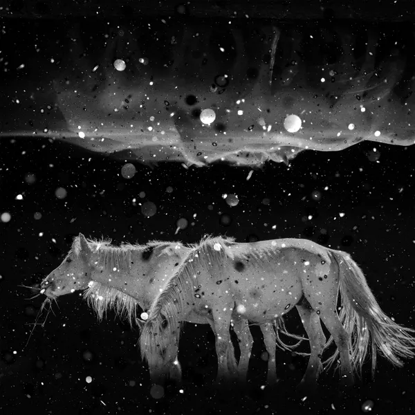 Star on the Mane thumbnail