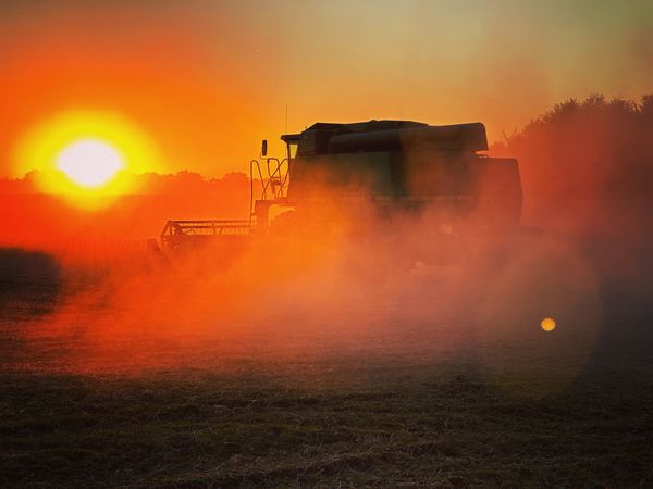 Dusty sunset harvest thumbnail