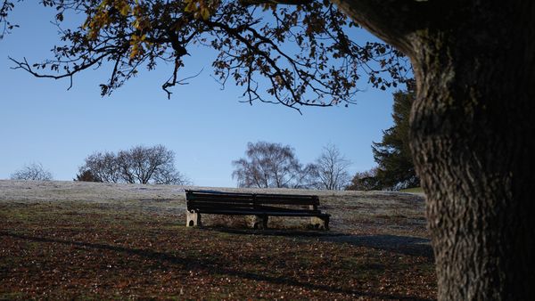 A Seat for the Unreturned thumbnail