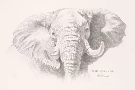 A new exhibition featuring rare books from the Smithsonian Libraries examines the complex history and evolution of big game hunting.