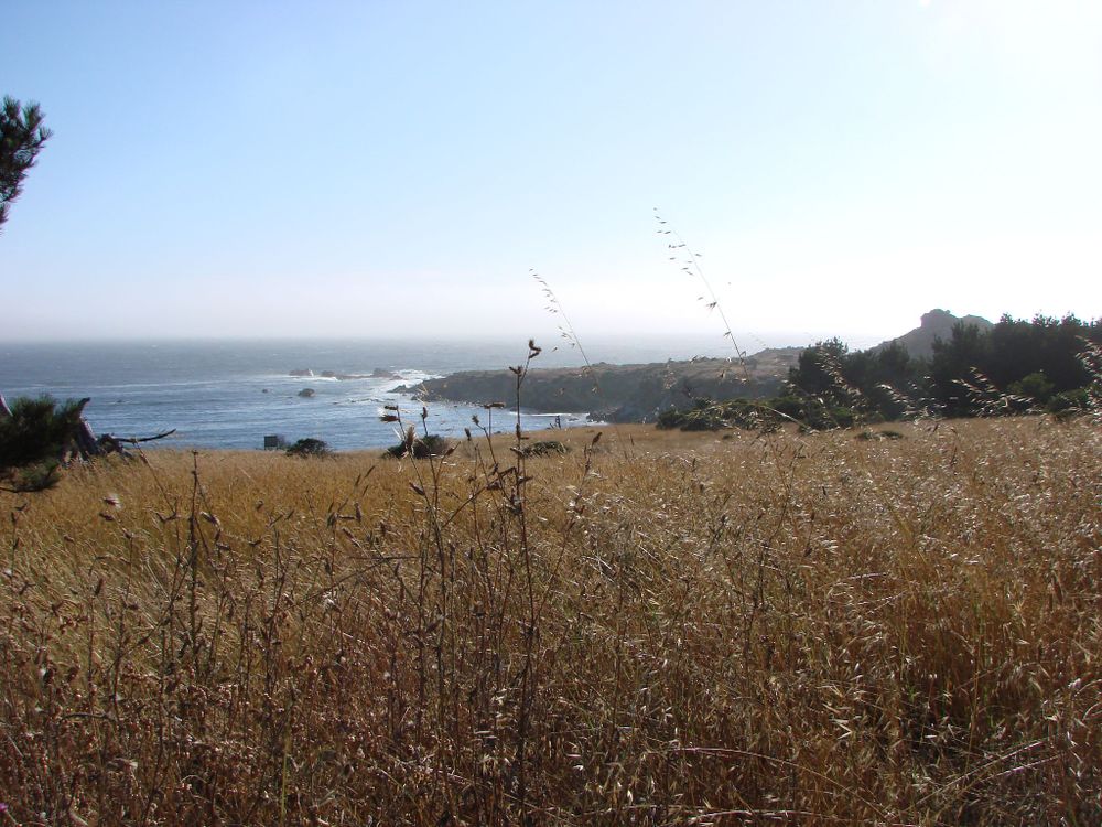 Salt Point, CA