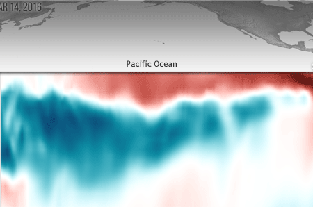 This visualization shows how temperatures in the top 1,000 feet, approximately, of the Pacific Ocean at the equator were warmer or cooler than average during 5-day periods centered on three dates this spring: March 14, April 13 and May 3. 
