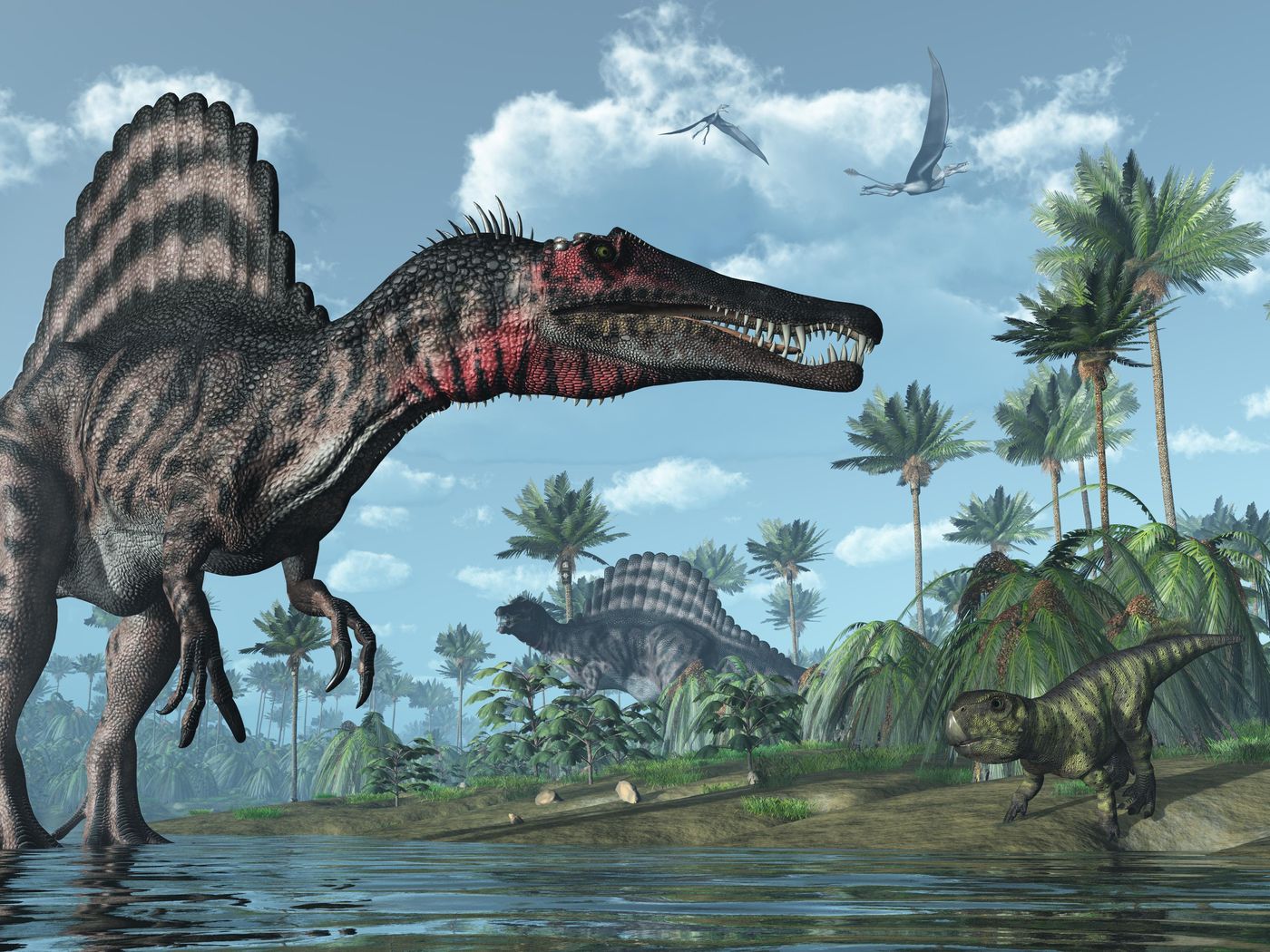 Onset jeg læser en bog Sløset Rediscovering Spinosaurus, the Lost Dinosaur | Sponsored | Smithsonian  Magazine