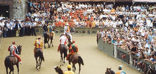 Siena Horses