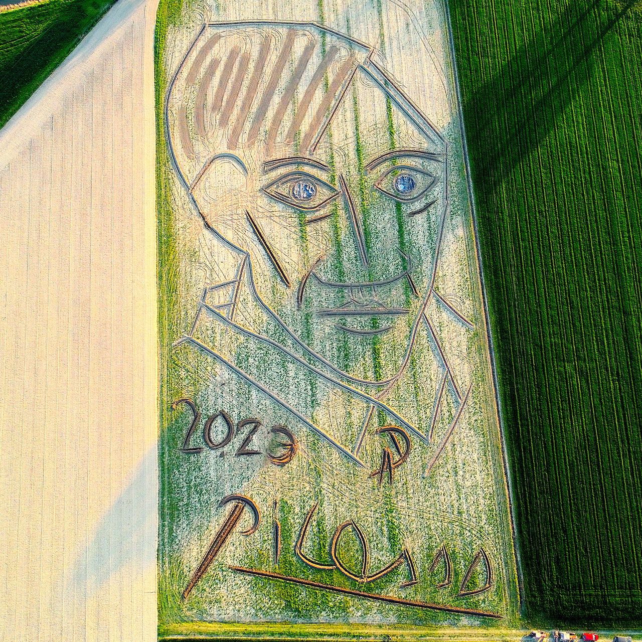 Italian Artist Uses Tractor to Create World's Largest Picasso Portrait