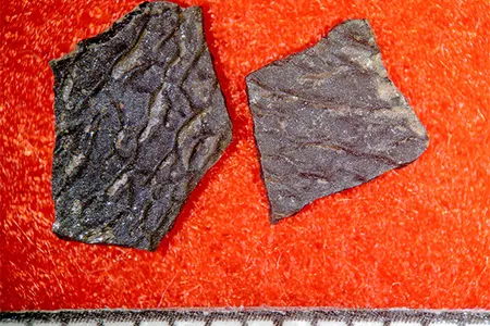 Researchers found pieces of dinosaur egg shells at a possible nesting site in Kamitaki, Japan. 
