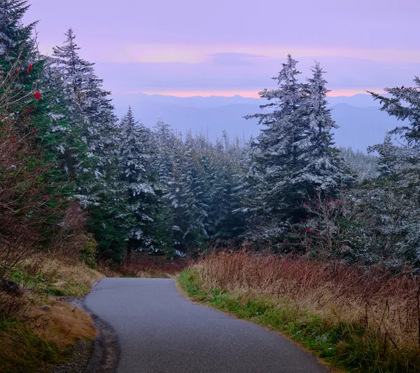 Christmas tree lane thumbnail