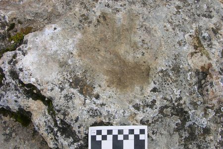 Caption: Six pairs of hand and footprints were discovered in 1998, including two that are small enough to have belonged to children. 
