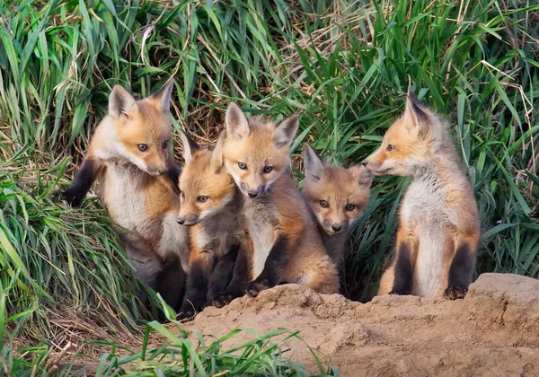 Ready to Explore thumbnail