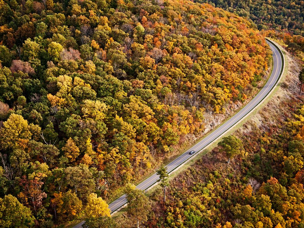 Autumn in the Blue Ridge Mountains, Virginia