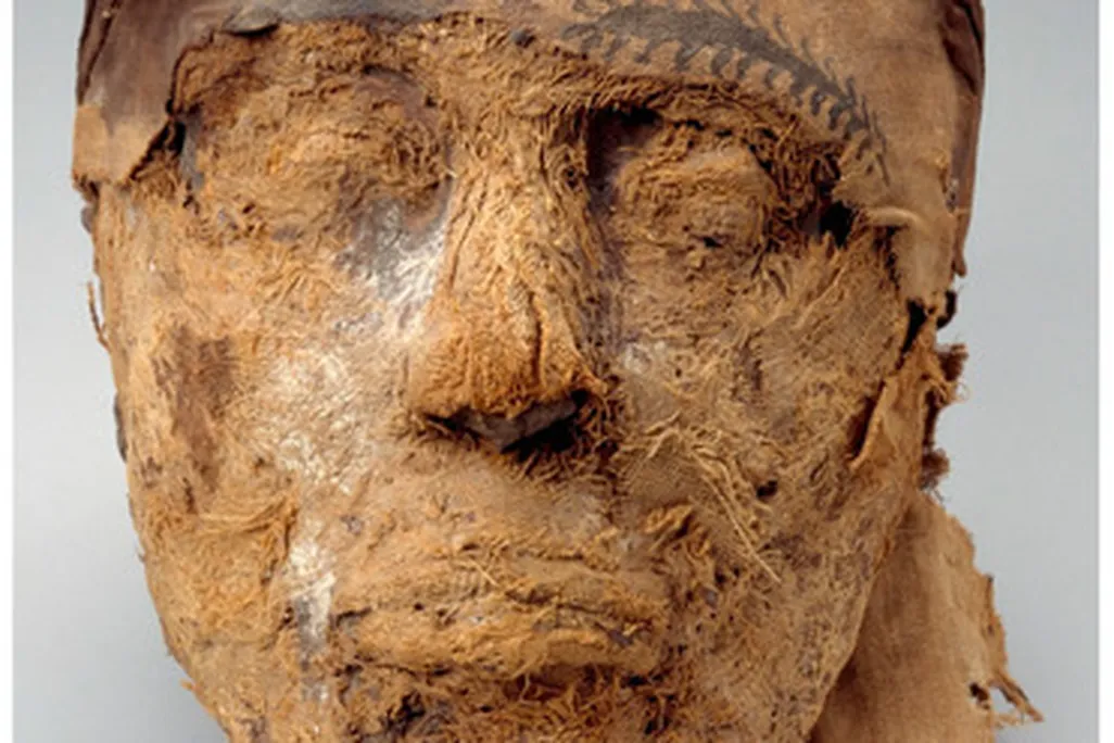 Mummified Head