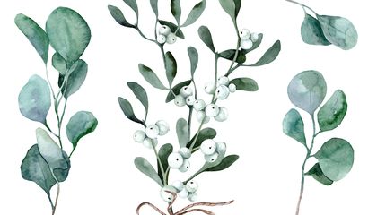 How Mistletoe Became a Christmas Kissing Tradition