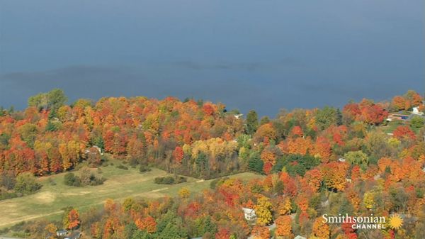 Preview thumbnail for Why Vermont Is the Best Place for Fall Foliage