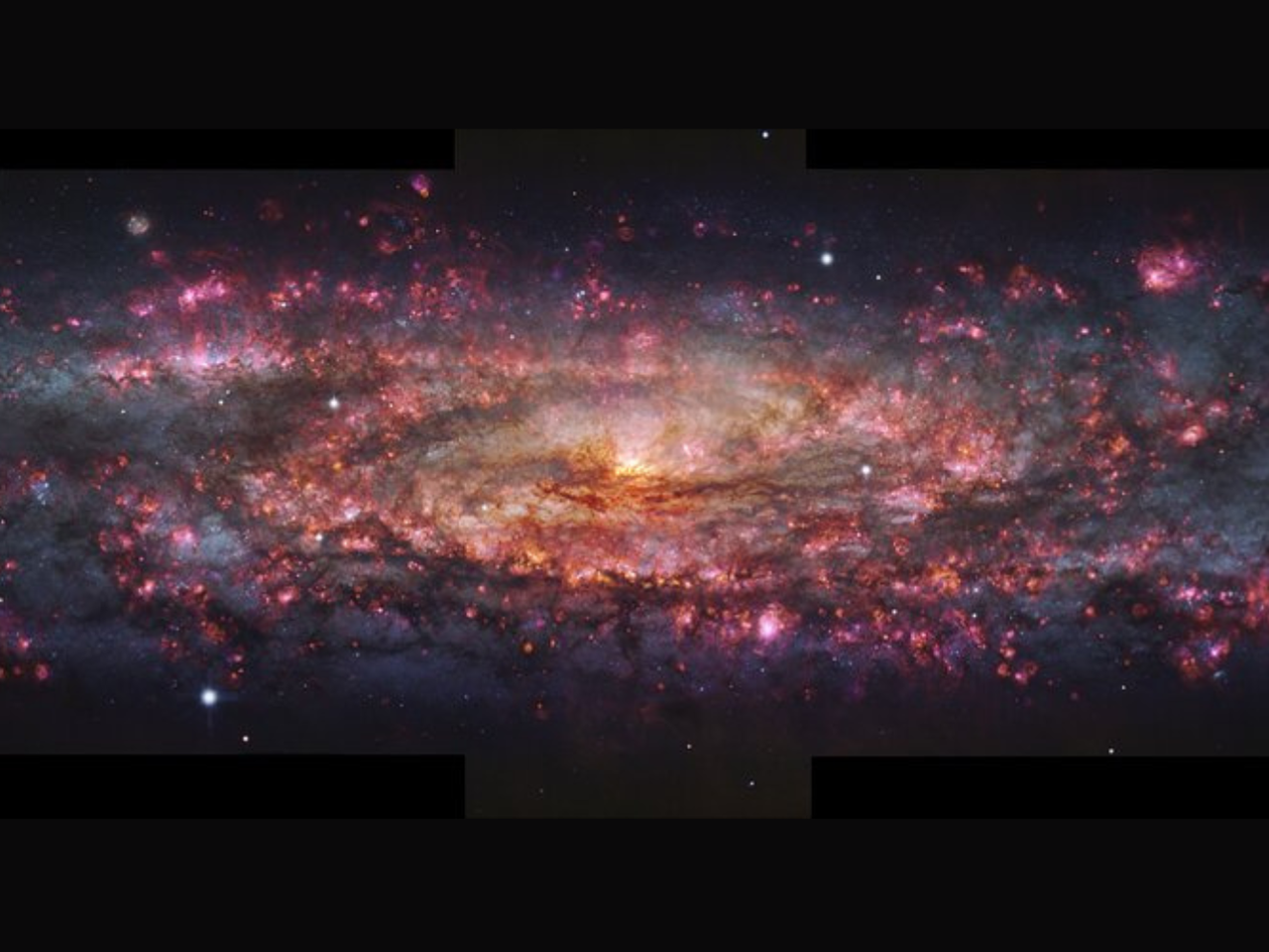 smithsonian_feature_images_1.png