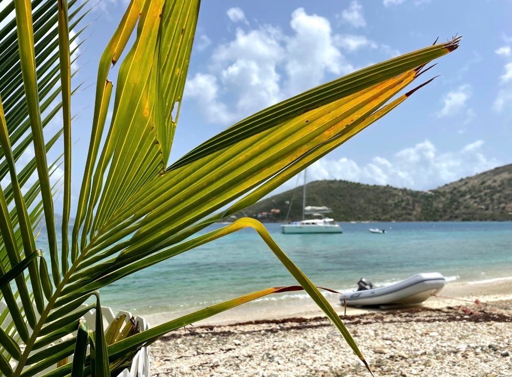 Small island nicknamed the Beehive in the British Virgin Islands as I look out through the palm trees and capture the boat, the ocean, the tree, the sky, the all-around beauty of what I was witnessing.