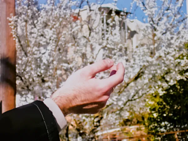 The gesture of spring thumbnail