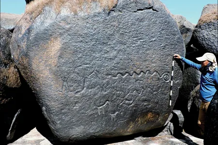 A researcher stands with a measuring tape, next to a large rock with multiple animal engravings.