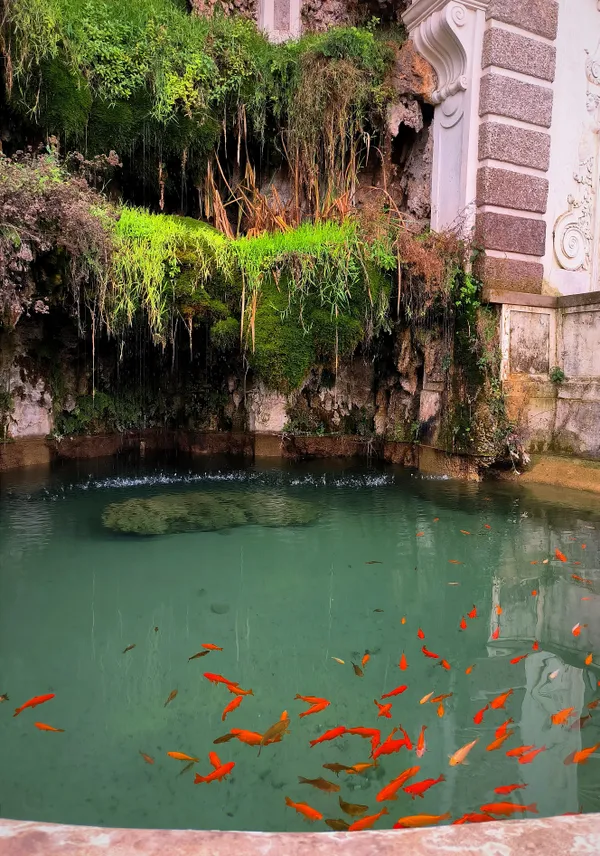 Nature's Embrace: A Fountain in Rome's Roman Forum thumbnail