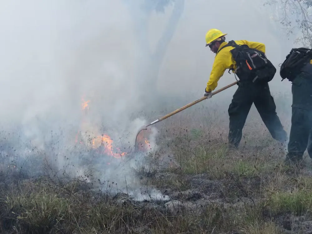 Prescribed Burn in Everglades