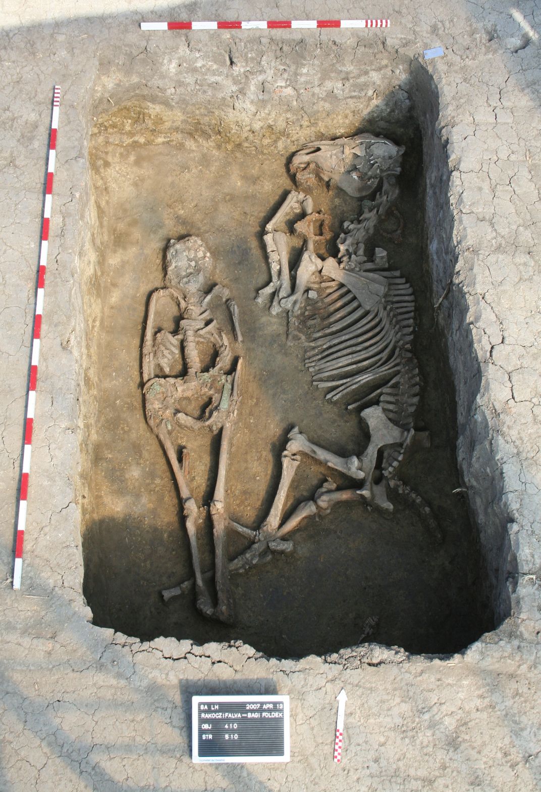 Male burial with a horse skeleton, 8th century