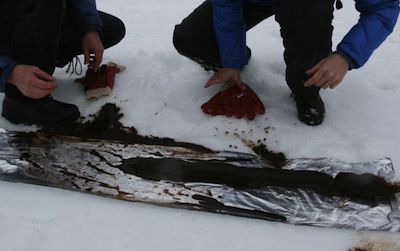 Ice cores from a lake in Norway. Image from Science/AAAS