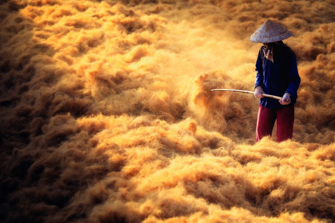 Dry coir thread | Smithsonian Photo Contest | Smithsonian Magazine