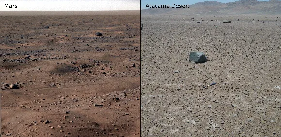A Temporary Habitat in the Driest Place on Earth