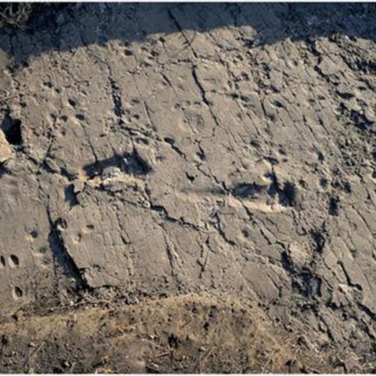 footprints.jpg