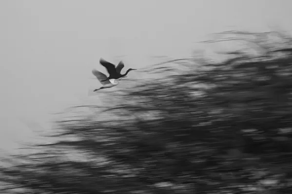 Dancing Duality thumbnail