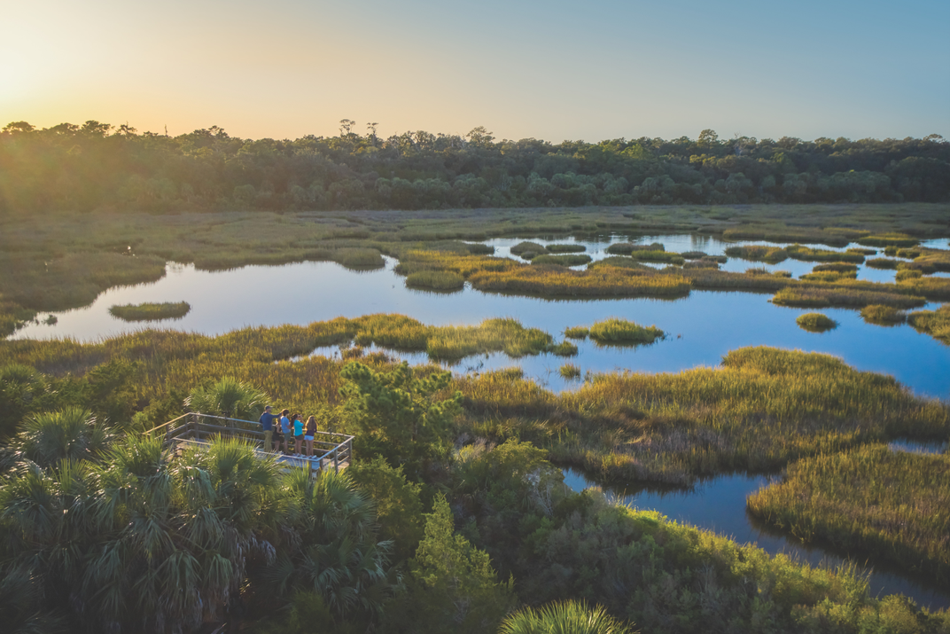 Discover the Charming Allure of Georgia's Golden Isles