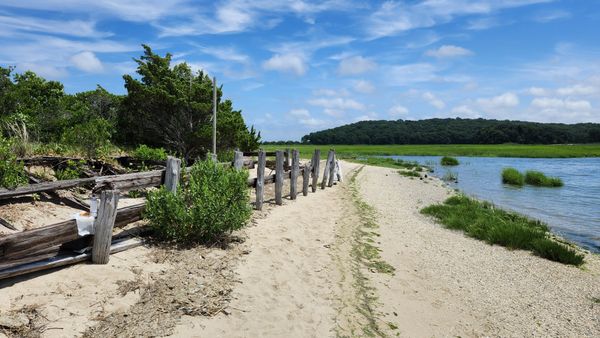 Lunch break at Caumsett. thumbnail