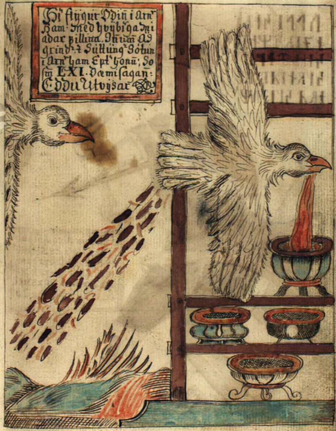 Norse god Odin as an Eagle