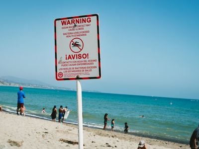 If a beach has signs that warn about contaminated water, it's probably not the best idea to swim.