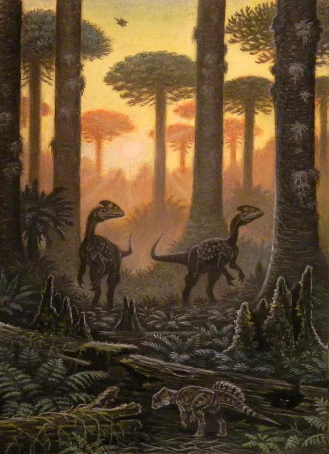 an illustration of three dinosaurs; one small in the foreground and the others medium in the background; in a sparse forest